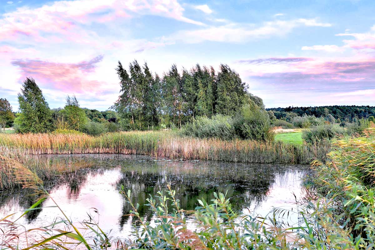 Golfplatz Schloss Karnitz bei schönem Wetter. Perfekt für einen Urlaub in den Arkona Strandresidenzen auf Rügen.